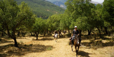 Italy-Sicily-Cefalu to Etna